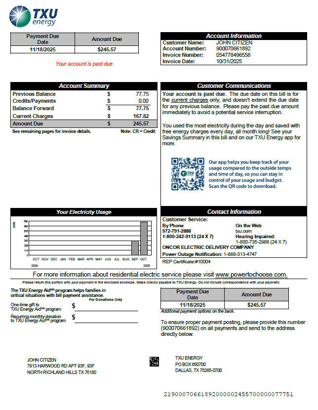 USA TXU Energy utility bill template in Word and PDF formats, version 8